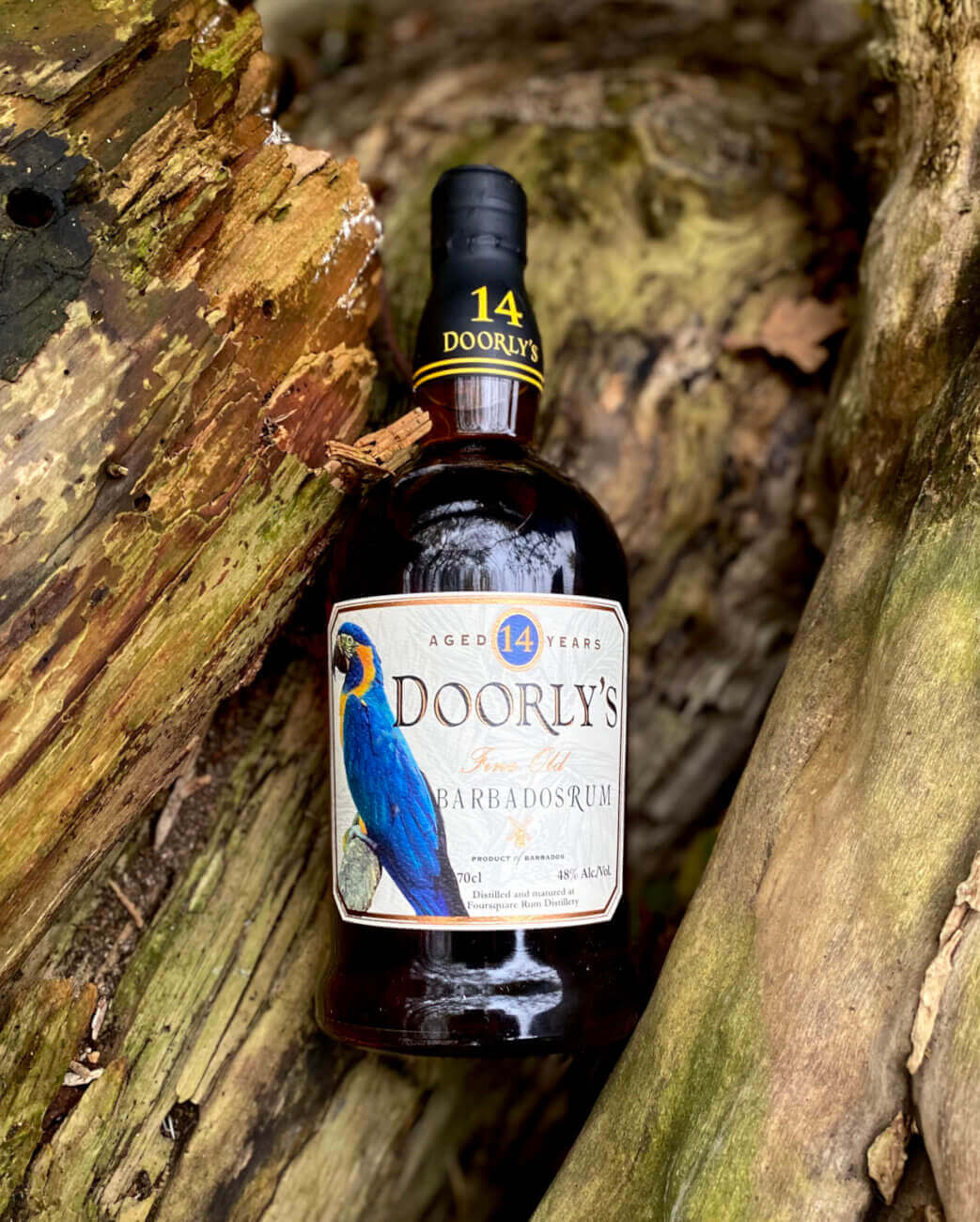 Flasche Doorly's Rum liegt auf Holz