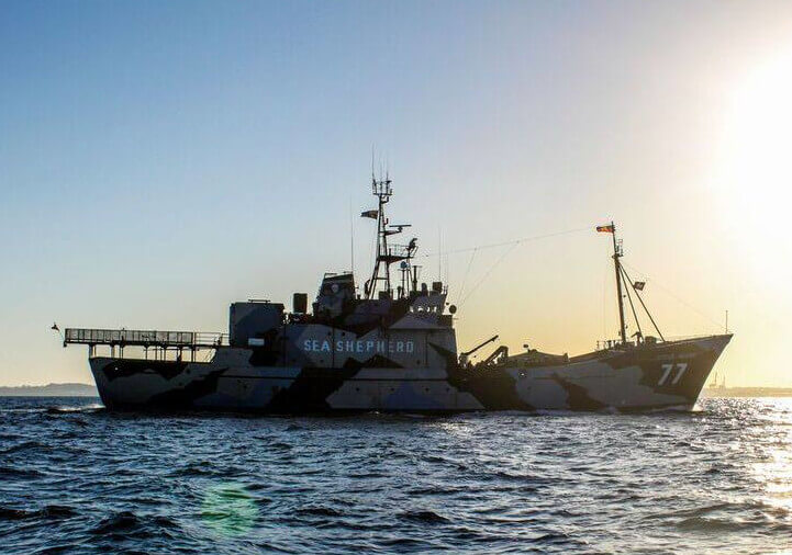Sea Shepherd Schiff Steve Irvin