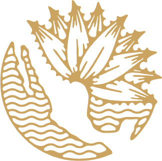 Mezcal Local Mezcal Local