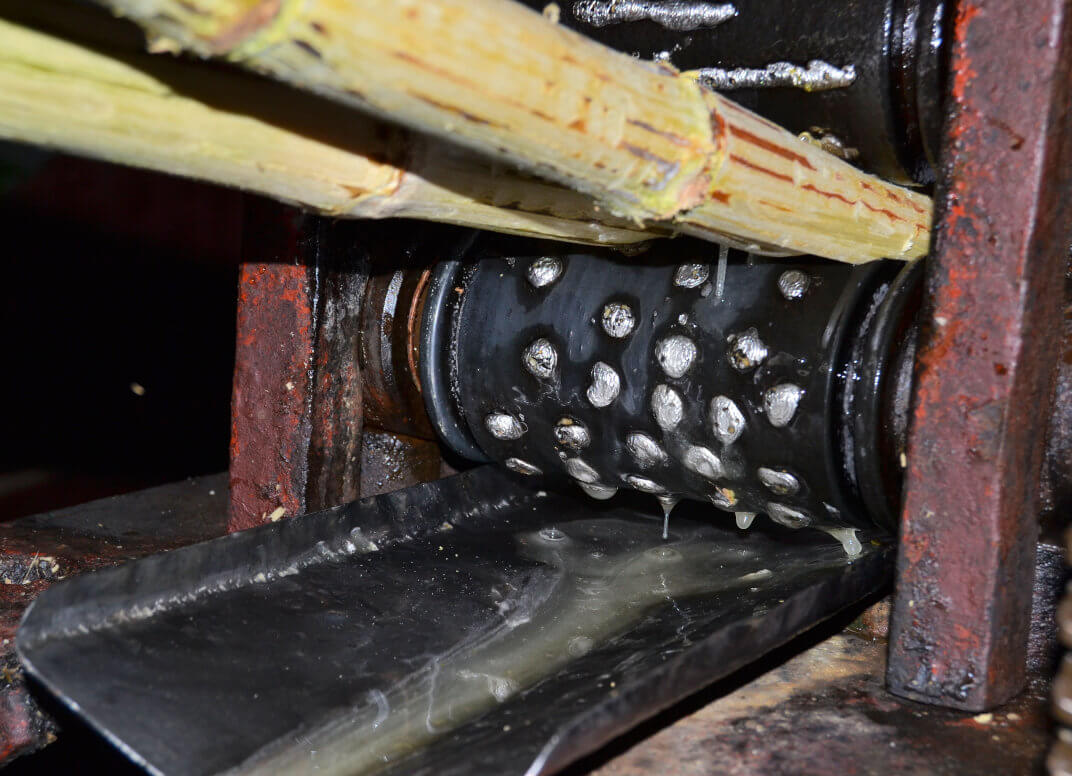 Zuckerrohr wird entsaftet Zuckerrohr wird durch eine Maschine geschoben und entsaftet