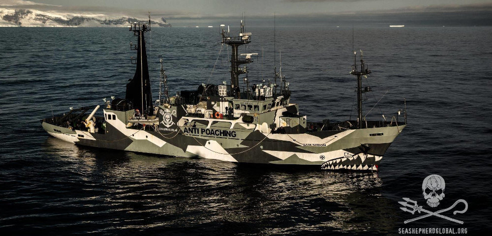 Sea Shepherd unterstützen! Sea Shepherd Shop