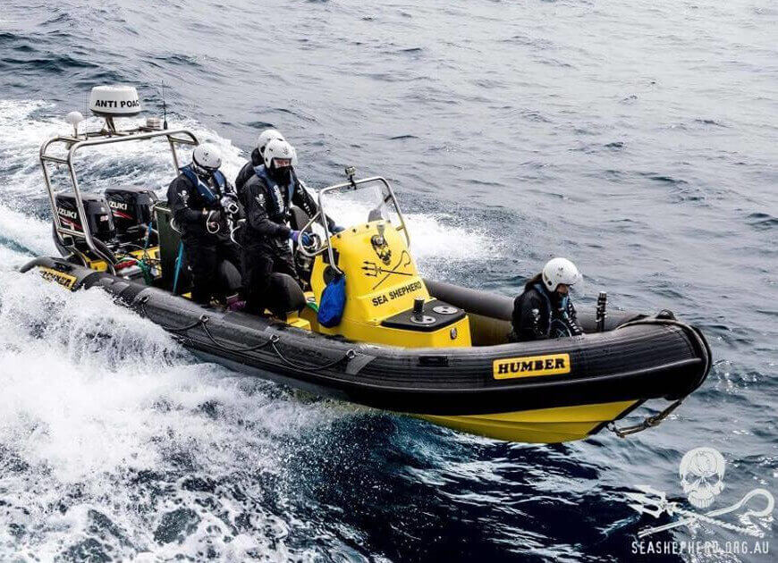 Sea Shepherd Shop
